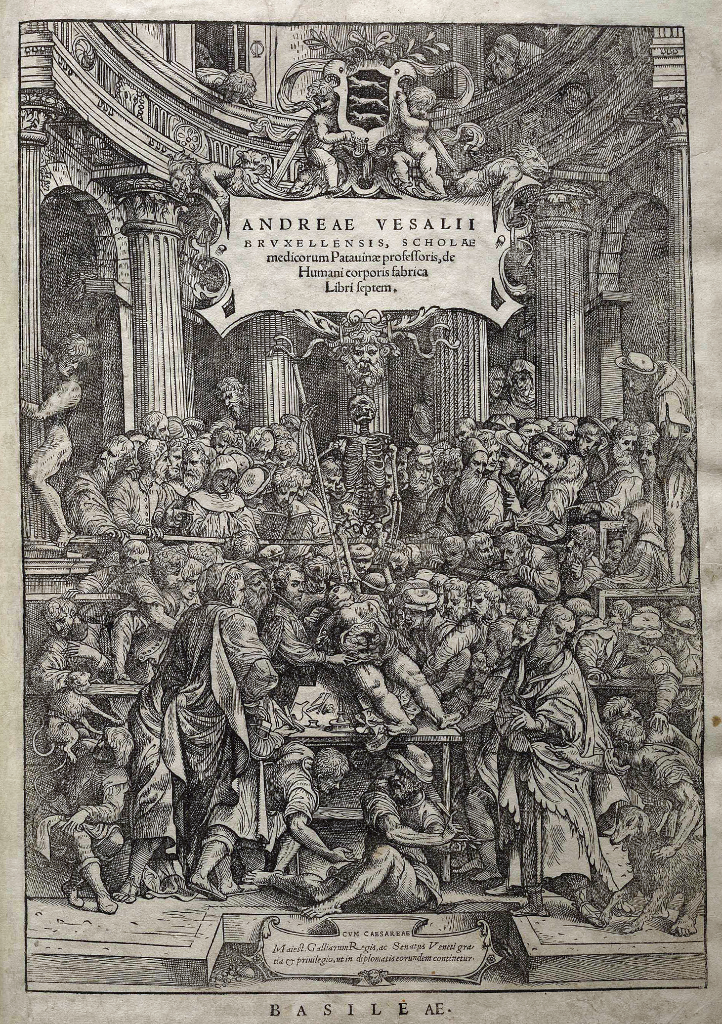 vesalio