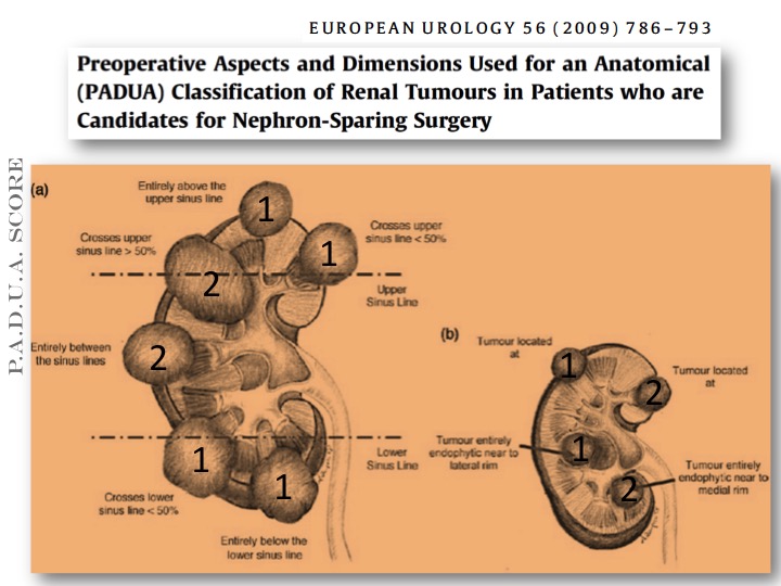 diapositiva17